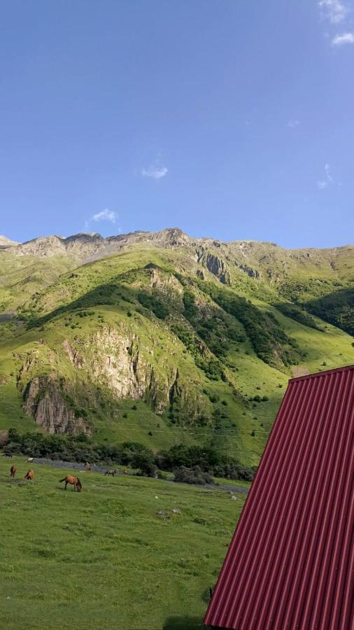 Mountain Flower Cottage Казбеги Экстерьер фото